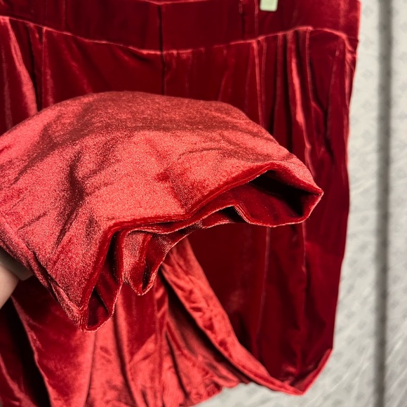 Velvet Red Pants - Picture 10 of 14